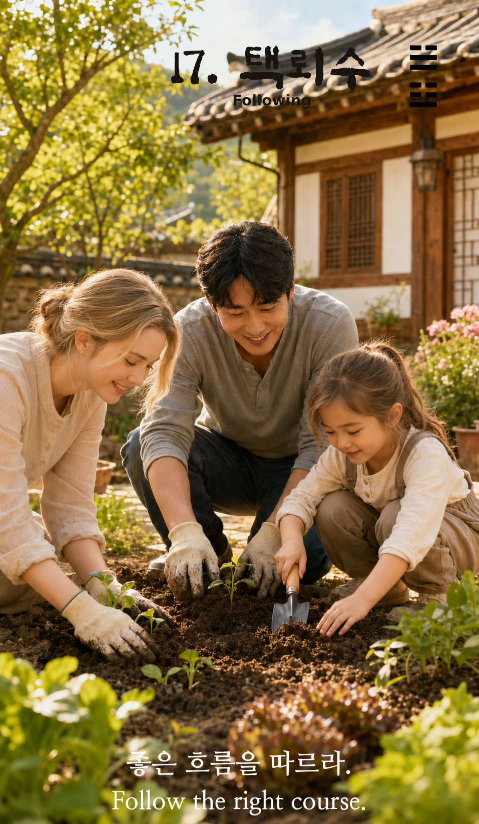 17. 택뢰수 카드 보기