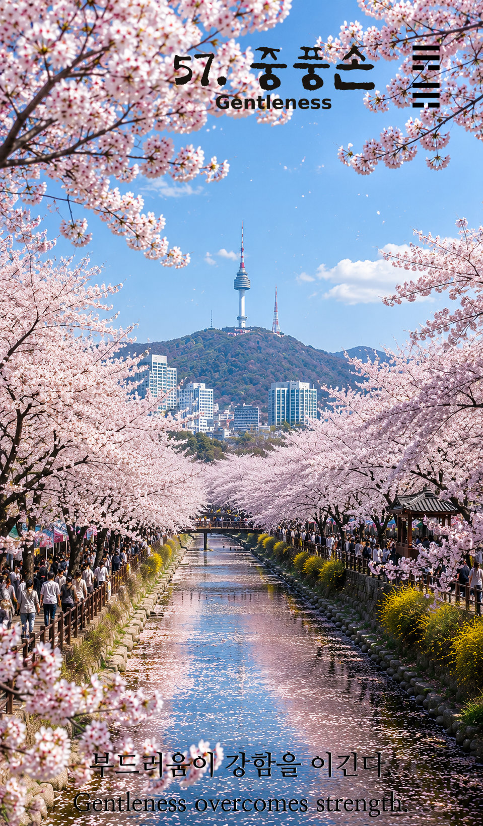 57. 중풍손 카드 보기